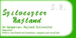 szilveszter majland business card